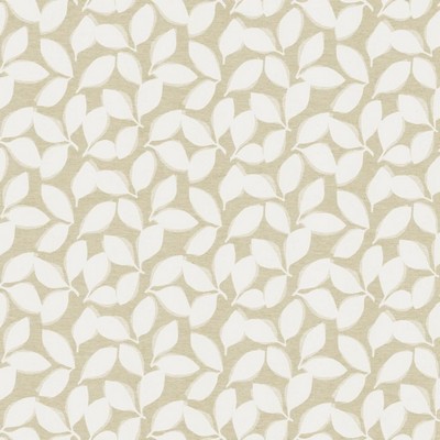 Kasmir Freefall 55 LINEN           